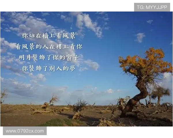 李敏的滑板人生：从初学者到职业选手的心路历程与成长故事